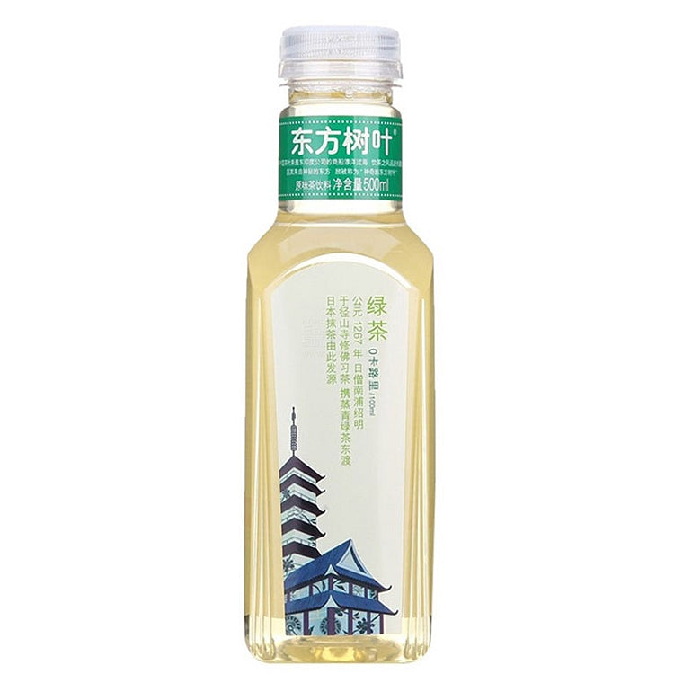 东方树叶绿茶 500ml
