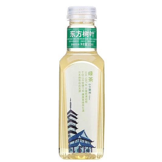 东方树叶绿茶 500ml